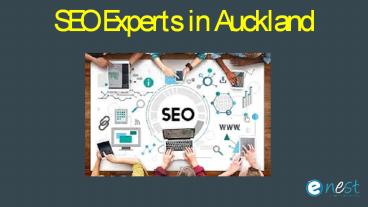 SEO Experts in Auckland