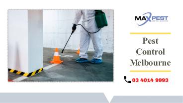 Hire Genuine Pest Experts At Max Pest Control Melbourne