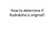 How to determine if Rudraksha is original?