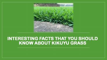 Interesting Facts That You Should Know About Kikuyu Grass