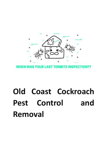 Old Coast Cockroach Pest Control and Removal