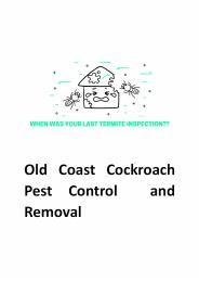 Old Coast Cockroach Pest Control and Removal
