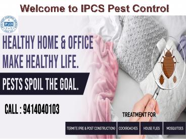 Best Pest Control Service in Bareilly