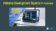 Website Development Experts in Auckland