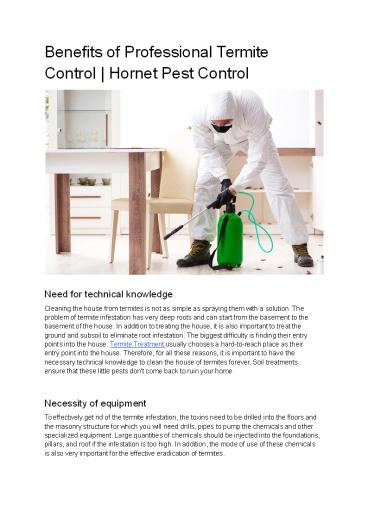 Benefits of Professional Termite Control | Hornet Pest Control