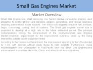 Small Gas Engines Market Research Report