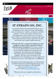 Stainless Steel Wing Clips