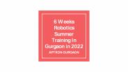 6 Weeks Robotics Summer Training in Gurgaon