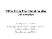 Yellow Peony Photoshoot Creative Collaboration
