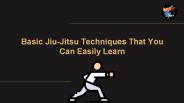 Basic Jiu-Jitsu Techniques That You Can Easily Learn