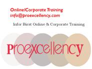 Proexcellency provides Infor Birst online training.