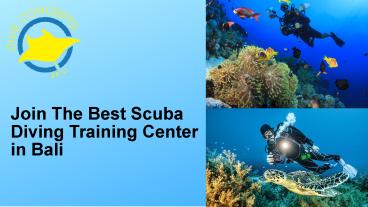 Join The Best Scuba Diving Training Center in Bali - Dive Concepts