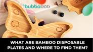 What Are Bamboo Disposable Plates and Where to find them?