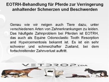 EOTRH-Behandlung für Pferde zur Verringerung anhaltender Schmerzen und Beschwerden