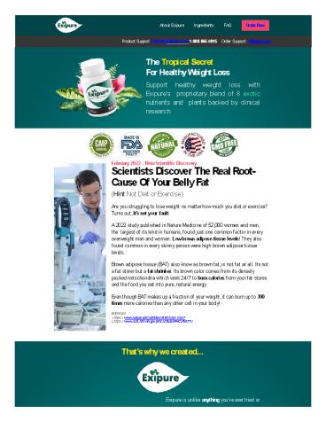 Exipure - Scientists Discover The Real Root- Cause Of Your Belly Fat