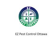 Emergency Pest Control Service in Ottawa