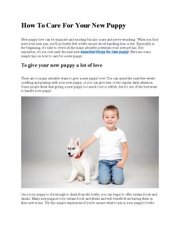 How To Care For A New Puppy