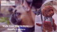 Walk Your Dog in Style -  Doodle Couture