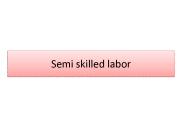 Semi skilled labor