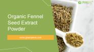 Organic Fennel Seed Extract Powder