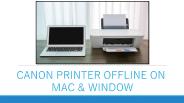 Solutions to Resolve Canon Printer Offline on Mac & Window