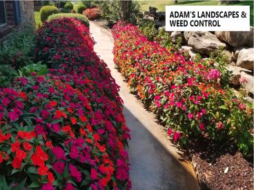 landscape designer in Tulsa (2)