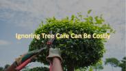 Ignoring Tree Care Can Be Costly