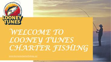 WELCOME TO LOONEY TUNES CHARTER FISHING