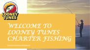 WELCOME TO LOONEY TUNES CHARTER FISHING