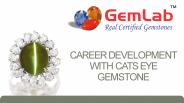 Career Development With Cats Eye Gemstone