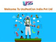 Pest Control Services in Jaipur