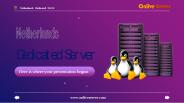 Get Real profit with Netherlands dedicated server-Onlive Server (1)