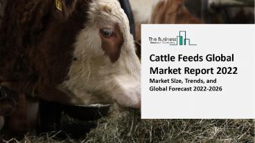 (2022-2031) Cattle Feed Market Size, Share, Growth And Trends