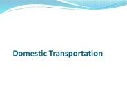 Domestic Transportation (1)