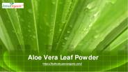Aloe Vera Leaf Powder