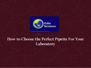 Best Pipette For Your Laboratory