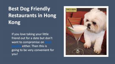 Best Dog Friendly Restaurants in Hong Kong