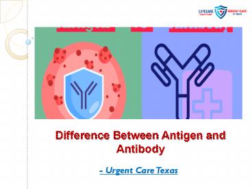 Difference Between Antigen and Antibody