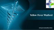 Yellow Fever Watford