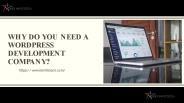 Why do you need a WordPress Development Company?