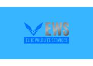 Raccoon Trapping - Elite Wildlife Services