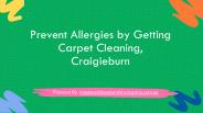 Prevent Allergies by Getting Carpet Cleaning, Craigieburn