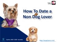 How To Date a Non Dog Lover