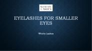 Eyelashes for Smaller Eyes