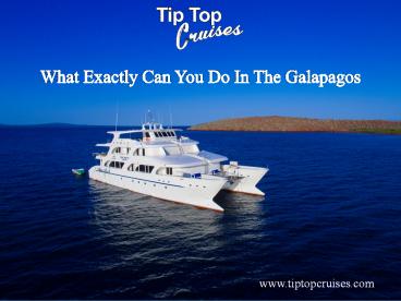 What Exactly Can You Do In The Galapagos (1)