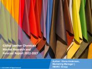 Leather Chemicals Market Research Report 2022-2027