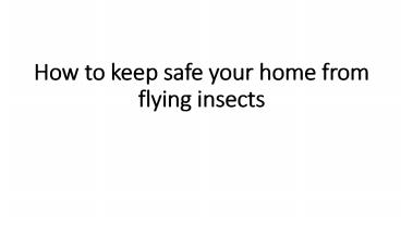 How to keep safe your home from flying insects