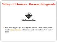 valley of flowers trek