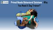 Why You Need A Dog Trainer? - Primal Needs