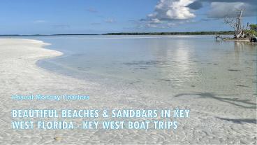 Beautiful Beaches & Sandbars in Key West Florida, Casual Monday Charters